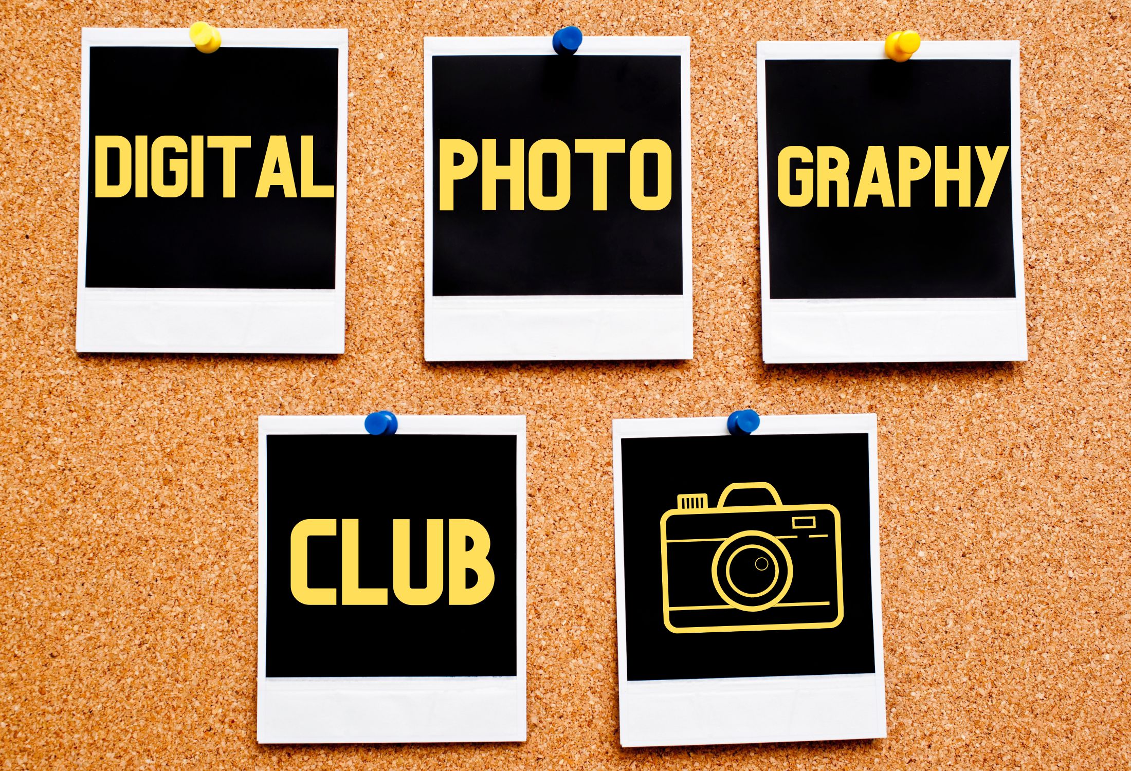 June 2023 Digital Photography Club