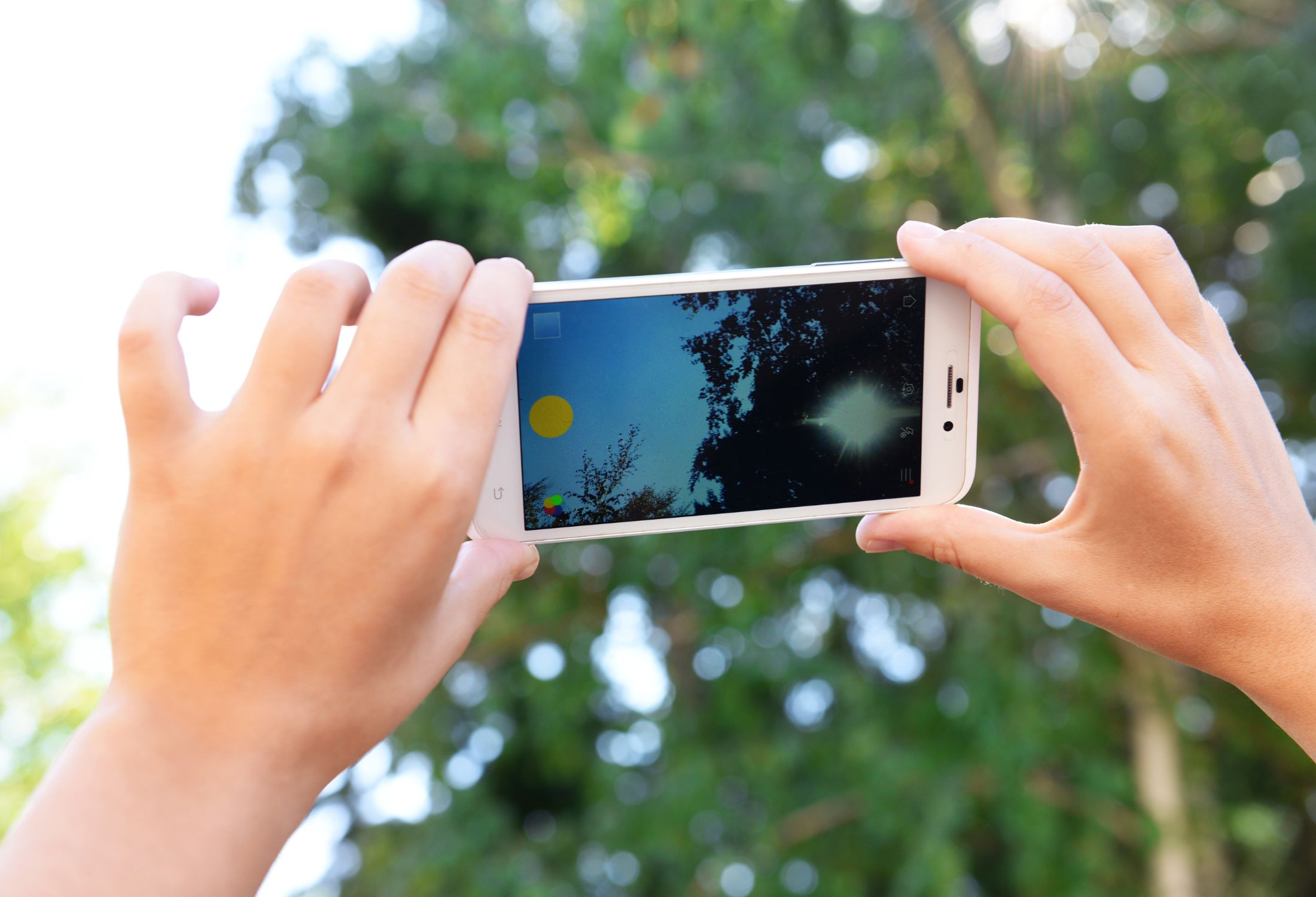 August 2023 Digital Photography Club in Morden Hall Park