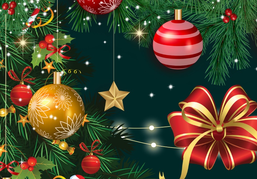 December 2023 - Carers' Festive Party